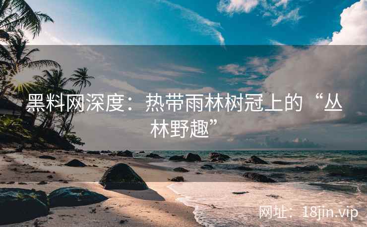 黑料网深度：热带雨林树冠上的“丛林野趣”
