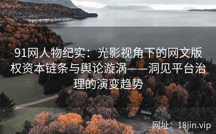 91网人物纪实：光影视角下的网文版权资本链条与舆论漩涡——洞见平台治理的演变趋势
