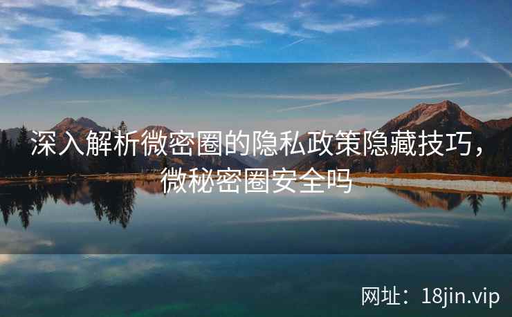深入解析微密圈的隐私政策隐藏技巧，微秘密圈安全吗