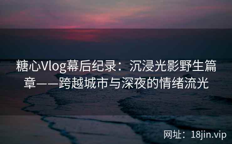 糖心Vlog幕后纪录：沉浸光影野生篇章——跨越城市与深夜的情绪流光